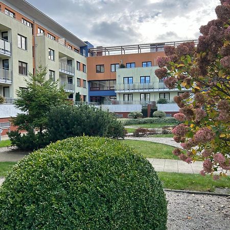 Unique Beige & Gold Apartments コウォブジェク エクステリア 写真