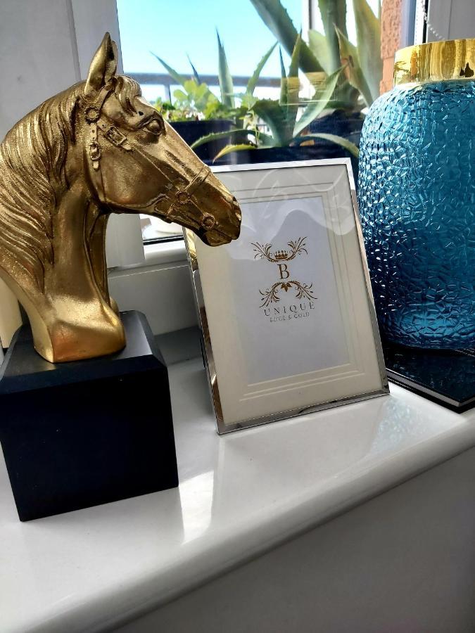 Unique Beige & Gold Apartments コウォブジェク エクステリア 写真